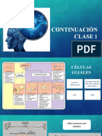 Neurofisiologíaclase 2 Taller