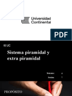 Semana 04 - S4 Sistema Piramidal y Extrapiramidal