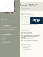 IT Manager CV Resume