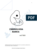 Embriologia Basica