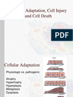 Lecture2 - Cellular Adaptations, Cell Injury and Cell Death-Final3