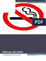 Bahaya Merokok
