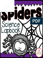 05.spiders Science Lapbook