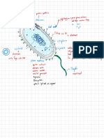 Viral and Bacteria Structure