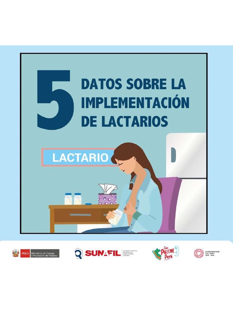 Implementacion de Lactario | PDF
