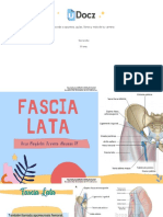 Fascia Lata 111658 Downloable 1180575