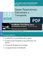 Sil - Cap 18 A Gases Respiratorios