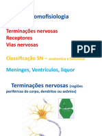 3.2 Slides Neuroanatomo