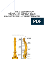 СТРУКТУРНАЯ СОСТАВЛЯЮЩАЯ ТРЕУГОЛЬНИКА ЗДОРОВЬЯ