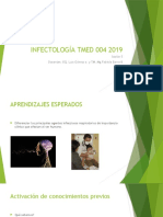 Infectología 5 2019