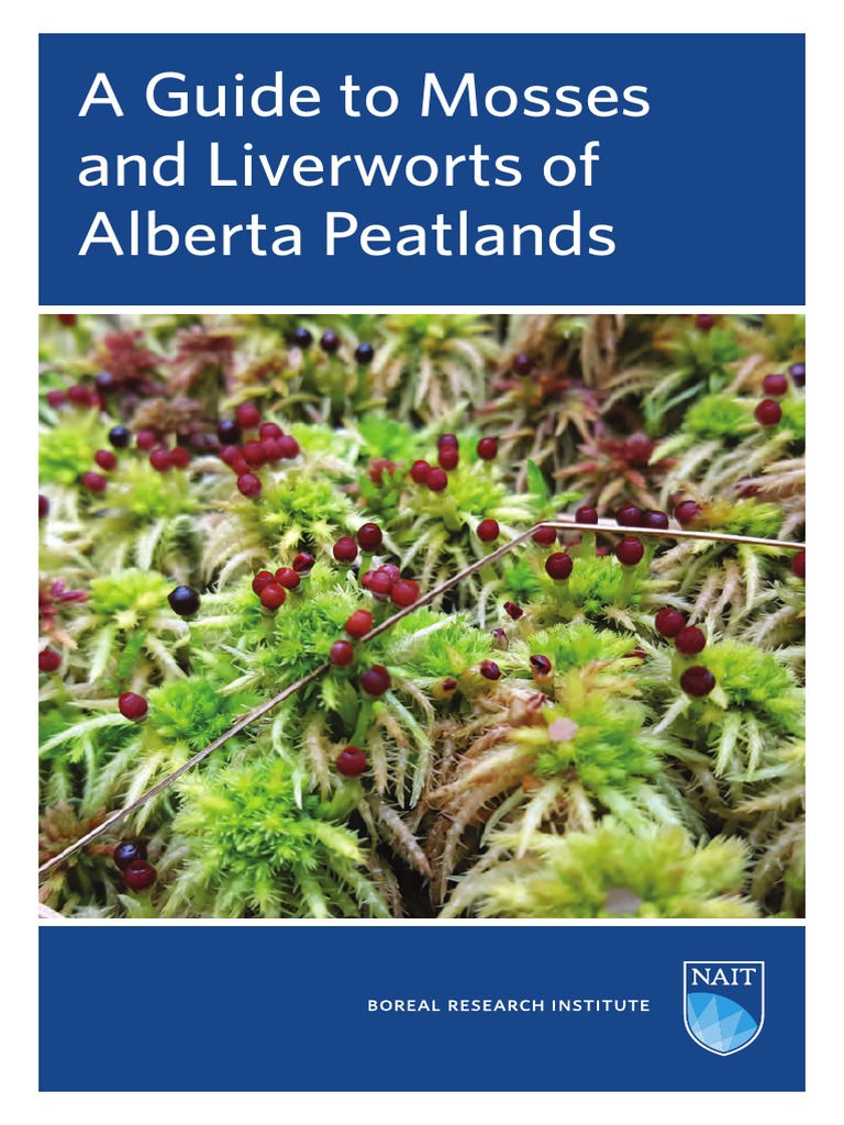 BRI Field Guide Mosses Liverworts Alberta Peatlands | PDF | Leaf | Peat