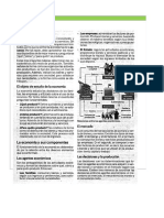 Actividad de Economia