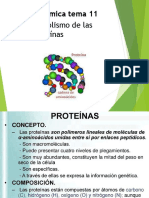 Metabolismo de Proteínas