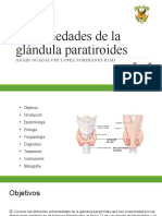 Enfermedades de La Glándula Paratiroides