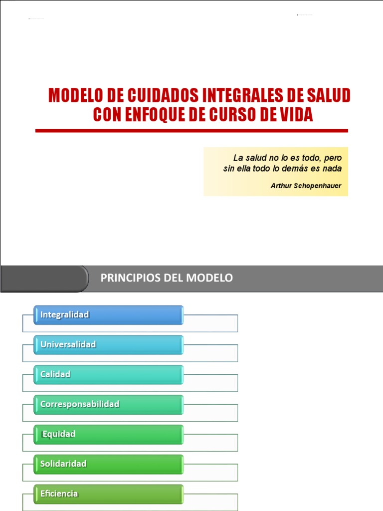 Modelo de Cuidados Integrales de Salud | PDF | Adultos | Especialidades ...