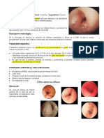 3 - Otitis Externa Difusa y Localizada