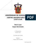 Articulo Germ Layer - ACLC