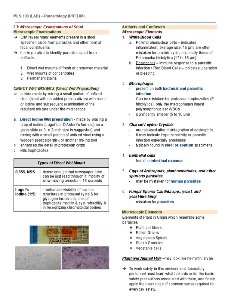 L3 Microscopic Examinations of Stool PDF PDF Medical Specialties