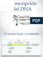 Clase13-BiolMol-Generalidades deTranscripción-TranscProcariontes