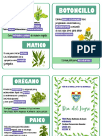 Plantas Medicinales de Ancash