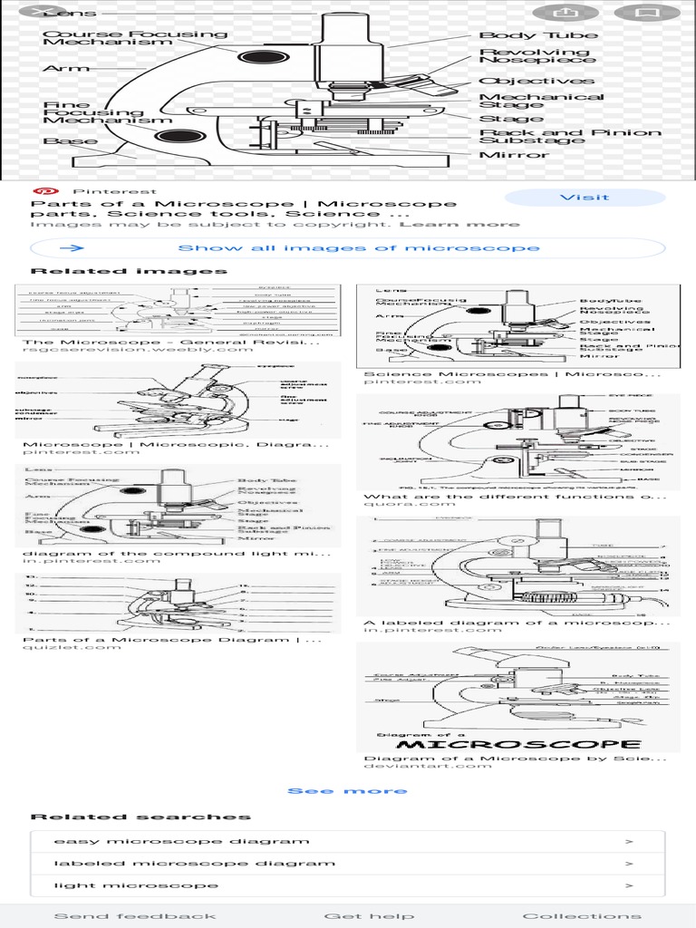 Microscope Diagrams - Google Search | PDF | Art | Technology & Engineering