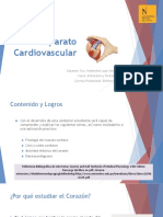 Aparato Cardiovascular 1T1