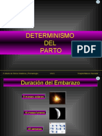 Determinismo Del Parto