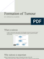 Tumour Formation