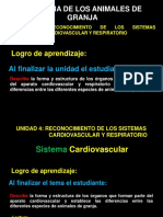 2 PPT Anatomia Cardiovascular 2022 II