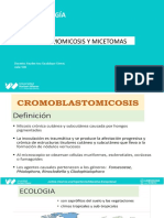 SESION 11 Cromomicosis y Micetomas 2023 I