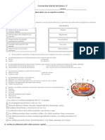 Evaluacion Ciencias Naturales 4° 5°