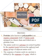 1.4 Protein