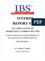 INTERIM REPORT Adithya