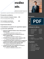 Nueva Plantilla Curriculum Vitae Original Gris Derecha