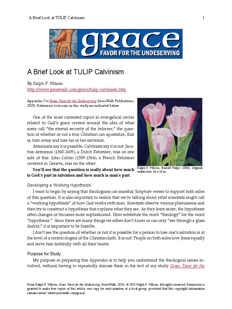 Tulip Calvinism PDF Perseverance Of The Saints Predestination