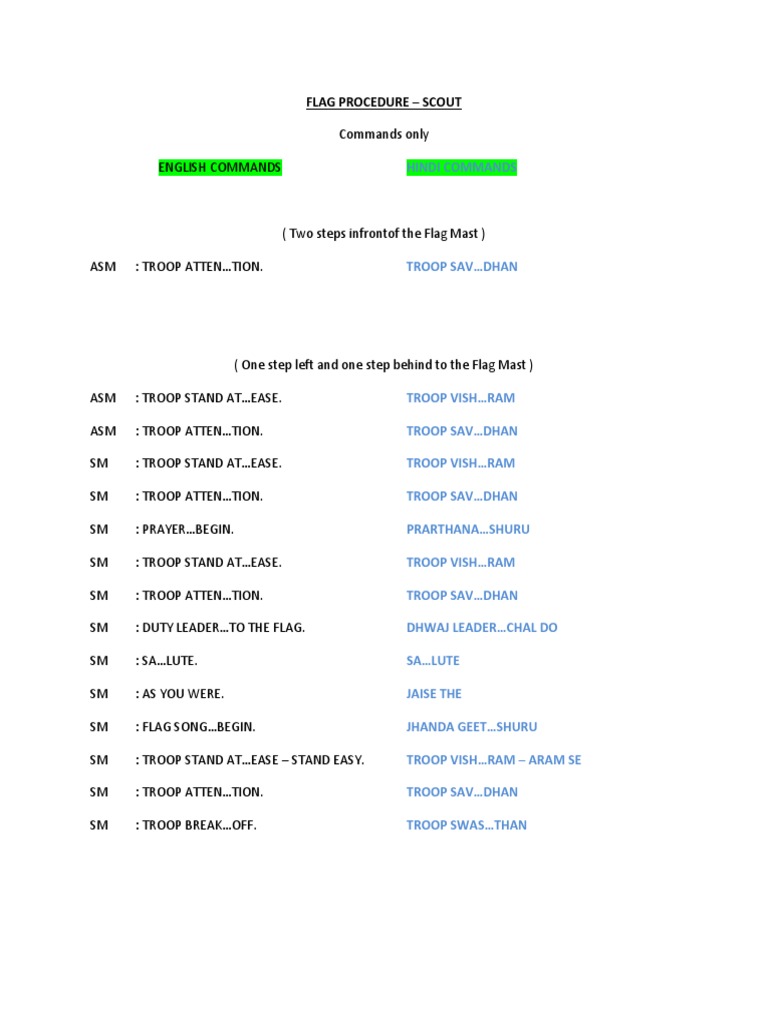 Scout Flag Procedure Commands | PDF | Art
