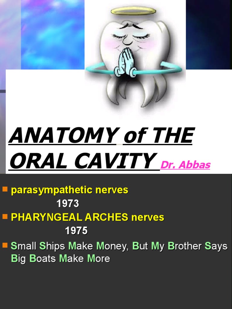 What Does Cavity Look Like On A Molar? Your Comprehensive Guide To Oral Health! - okyvxzh