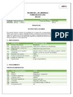 INFORME MANDIBULA PC8000-209 (2)