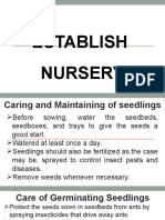 Care For Seeds - 084155