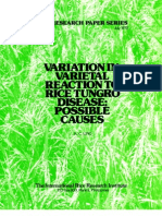 IRPS 32 Variation in Varietal Reaction to Rice Tungro Disease