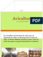 AVICULTURA