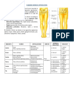 TP 5 - Cadera y Región Glútea PDF
