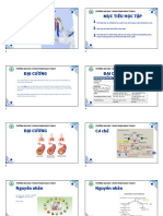 slide - Thuốc hen suyễn - 230112 - 213639