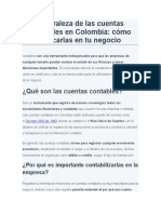 1 - Naturaleza de Las Cuentas Contables en Colombia
