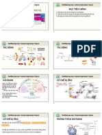 Slide - KHÁNG HISTAMIN - 230112 - 213213