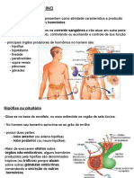 Sistema End Crino Edf