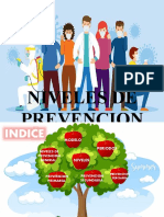 Niveles de Prevencion 13-3