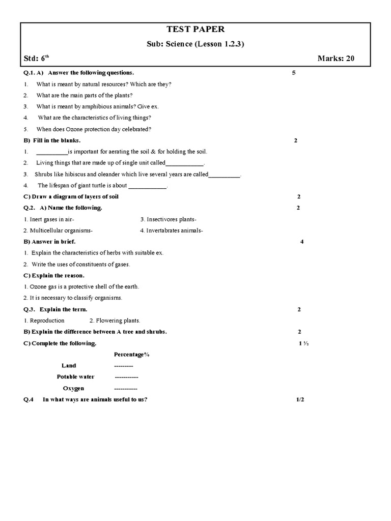 Test Paper | PDF