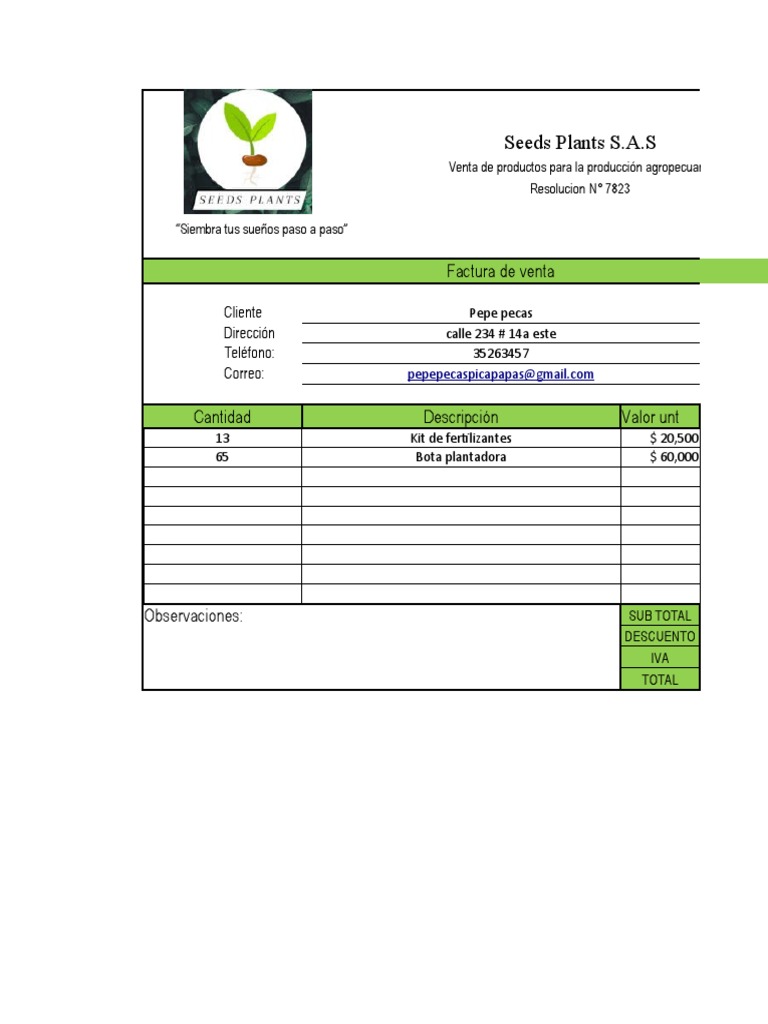 Recibo Informatica | PDF