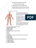 Evaluacion - CienciasNaturales - II PERIODO - 5°